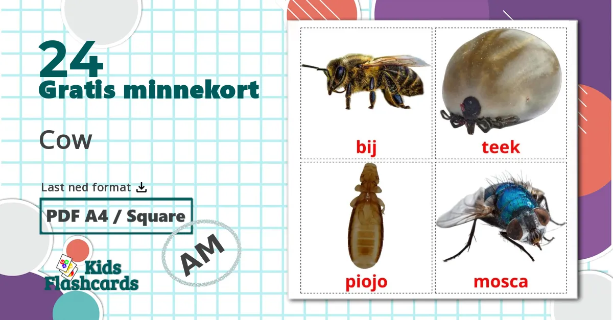 24 insekter bildkort för barn