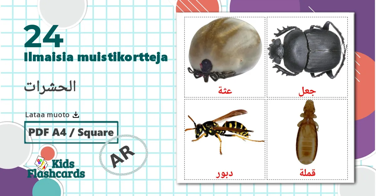 24 الحشرات lasten kuvakortit