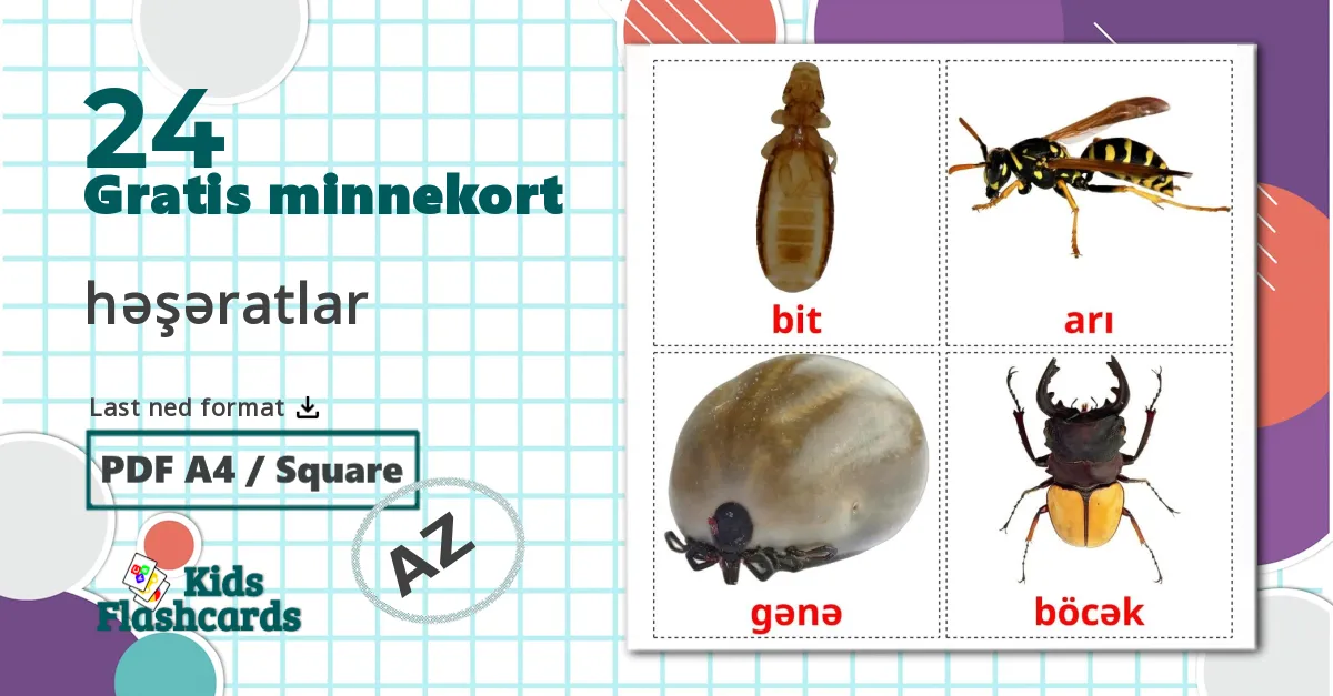 24 həşəratlar bildekort