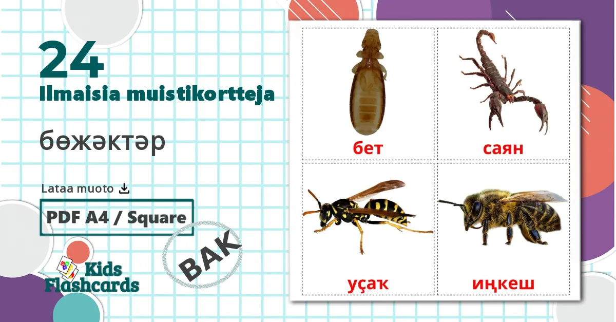 24 бөжәктәр lasten kuvakortit