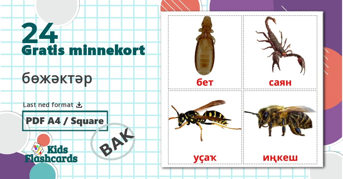 24 Bildkarten für бөжәктәр