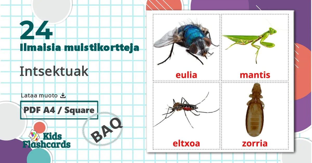 24 Intsektuak lasten kuvakortit