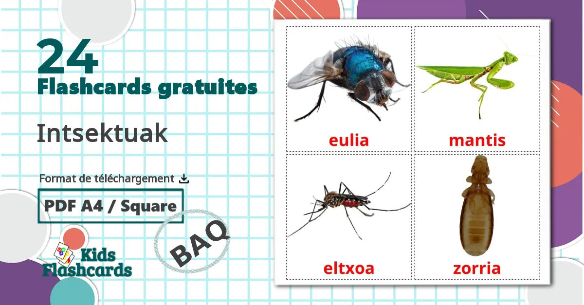 24 Imagiers Intsektuak