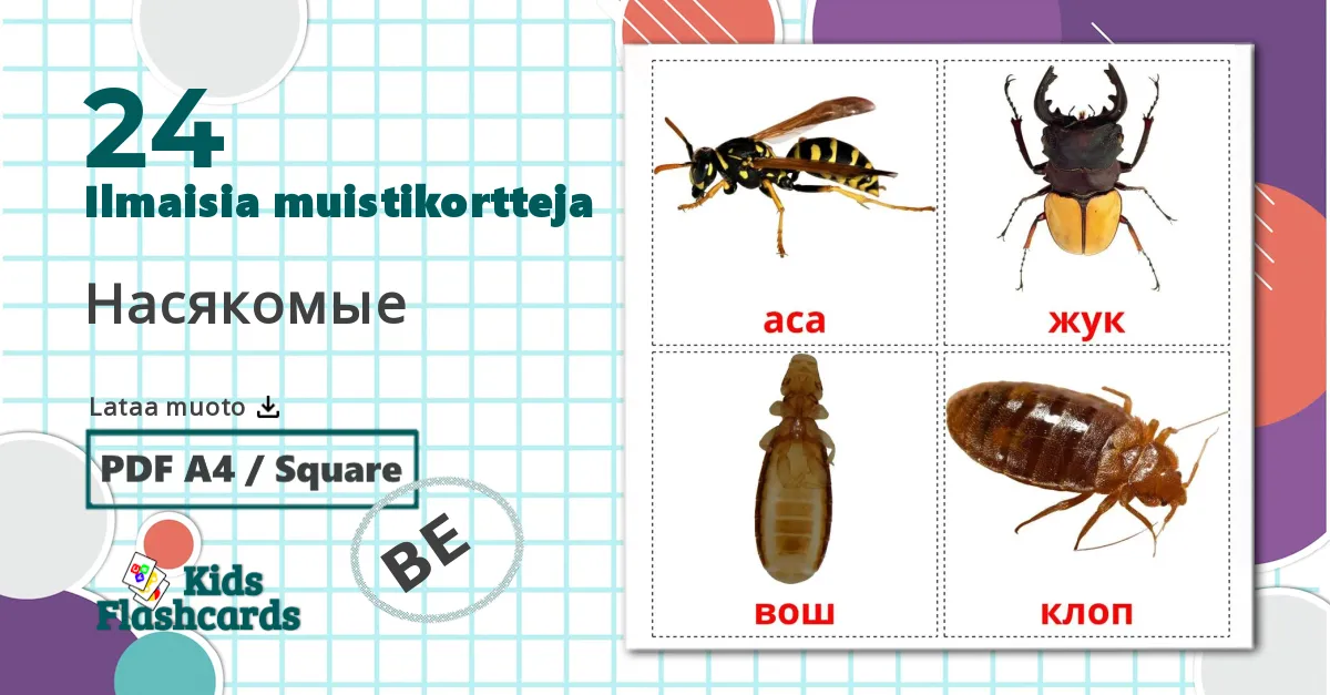 24 Насякомые lasten kuvakortit