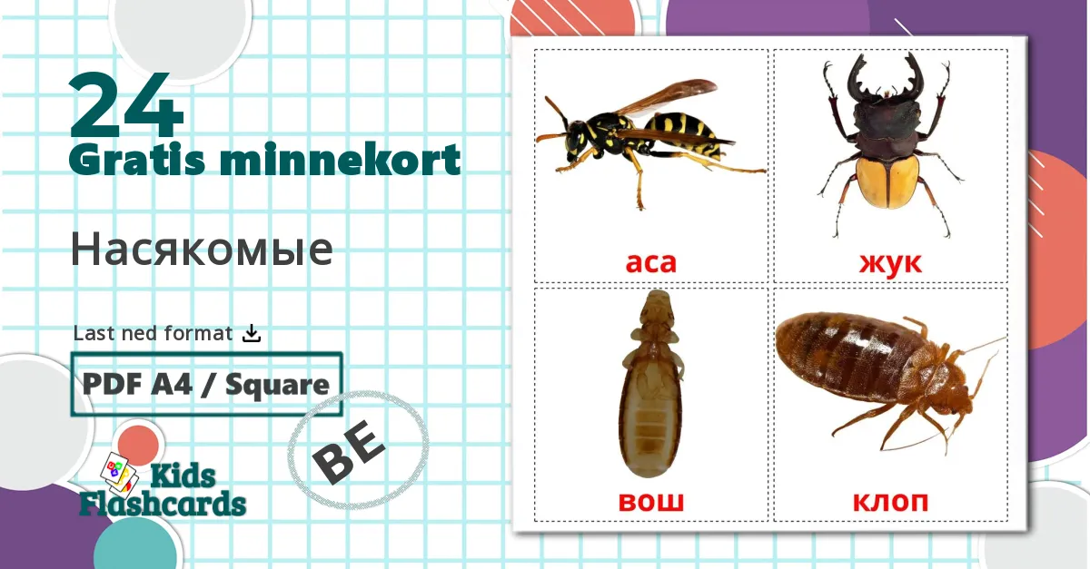 24 Насякомые bildekort