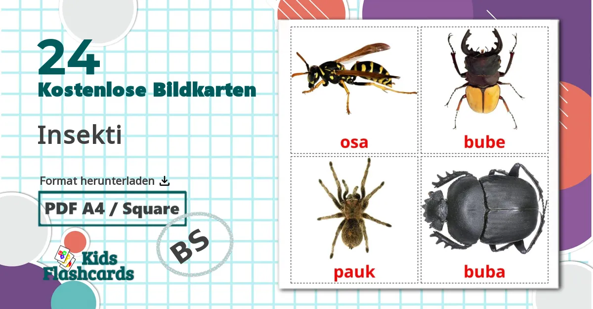 24 Bildkarten für Insekti