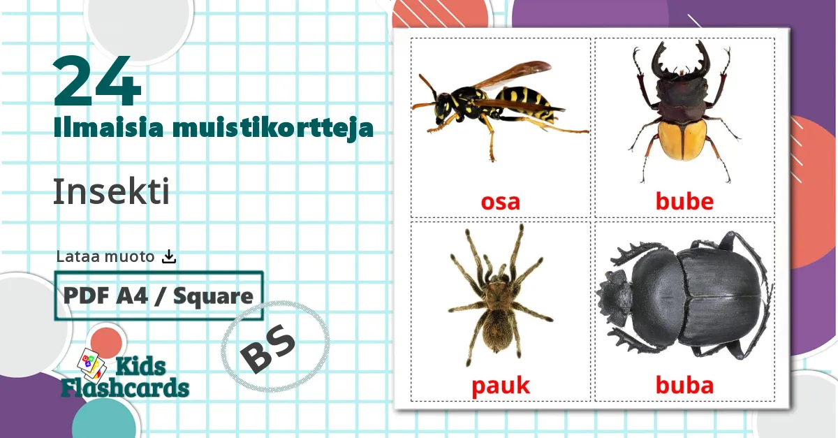 24 Insekti lasten kuvakortit