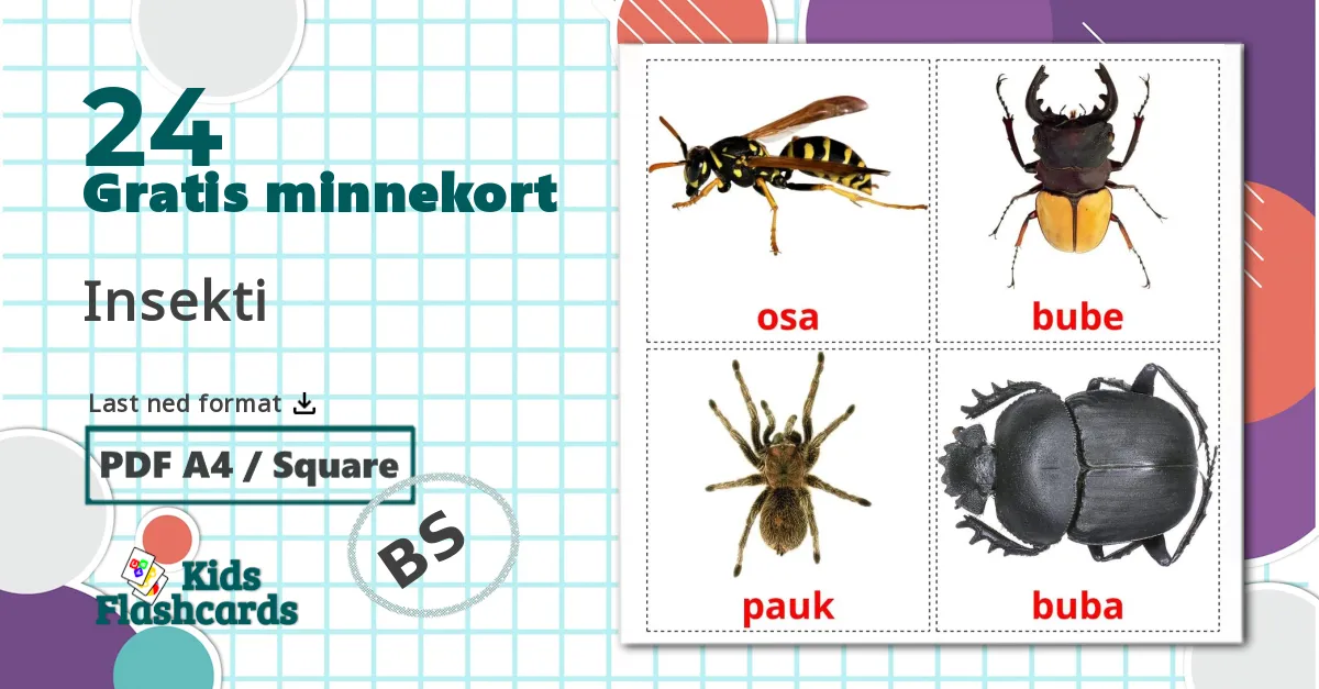 24 Insekti bildekort