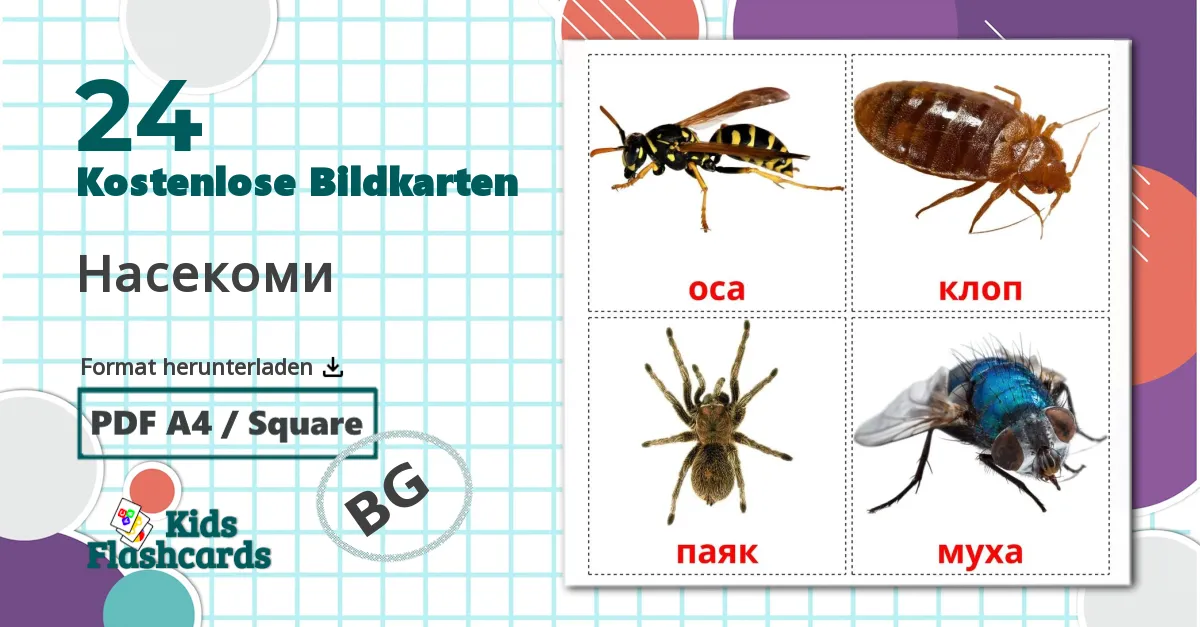 24 Bildkarten für Насекоми