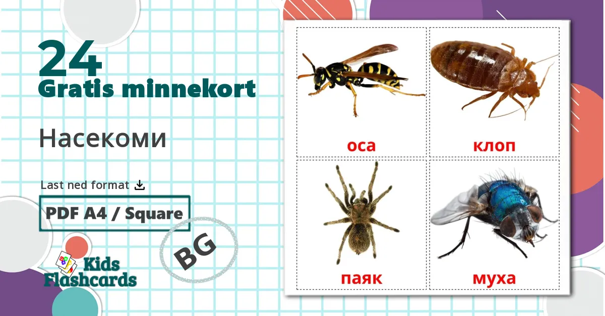 24 Насекоми bildekort