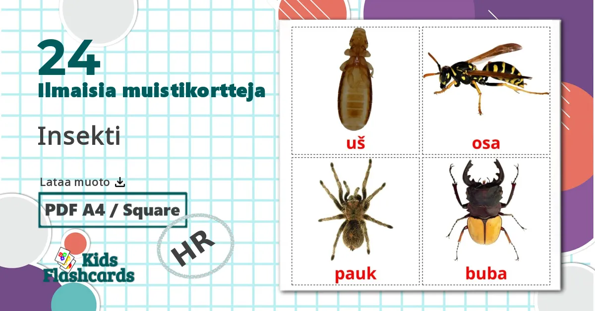 24 Insekti lasten kuvakortit