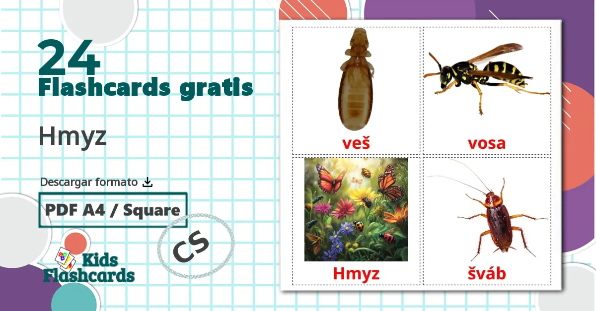 24 tarjetas didacticas de Hmyz