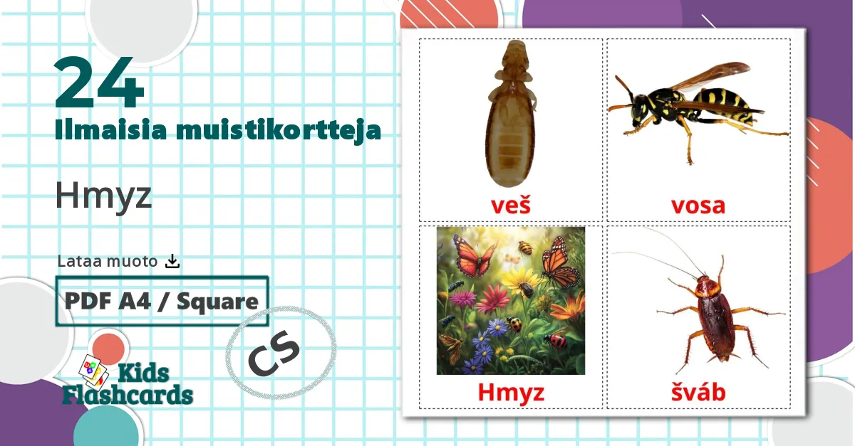 24 Hmyz lasten kuvakortit