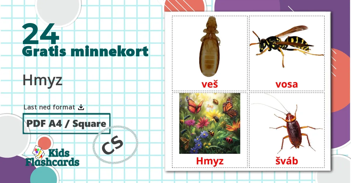 24 Hmyz bildekort