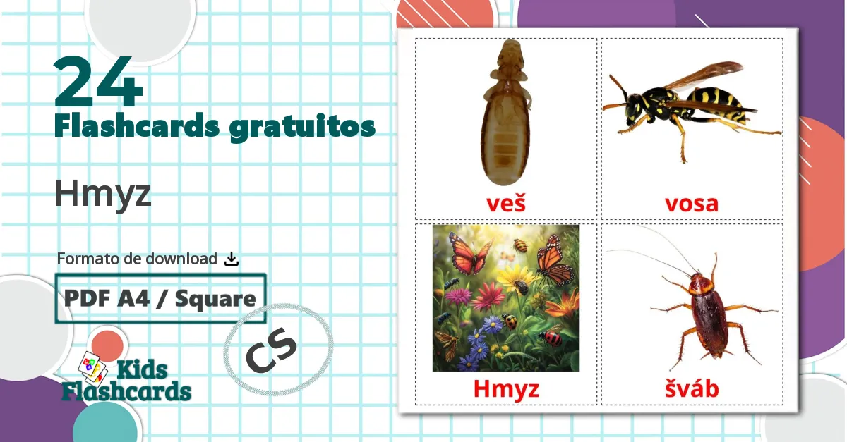 24 Flashcards de Hmyz