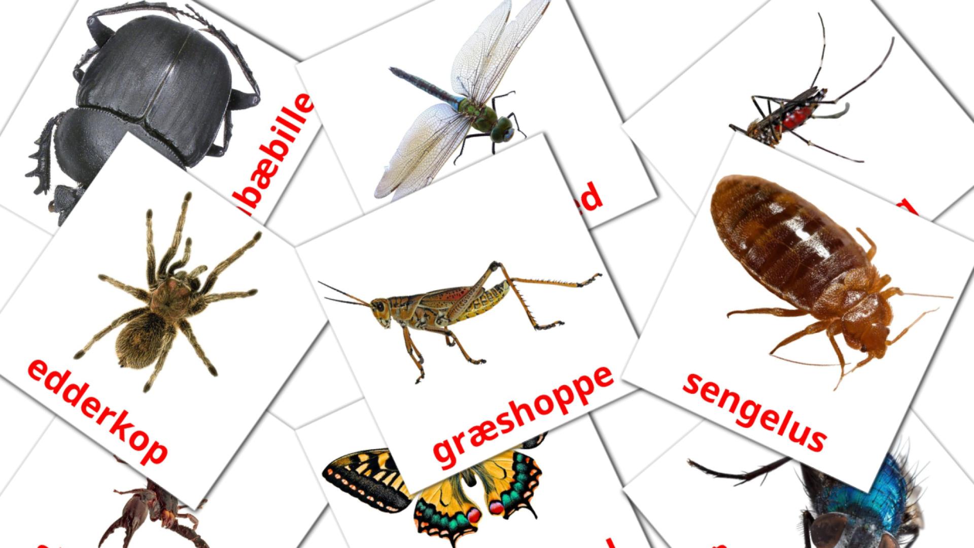tarjetas didacticas de Insekter