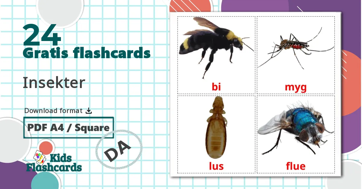24 Insekter billedkort for børn