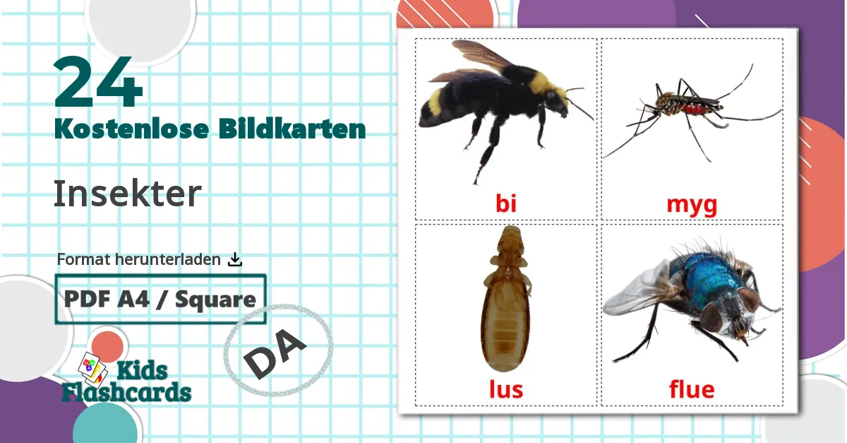 24 Bildkarten für Insekter