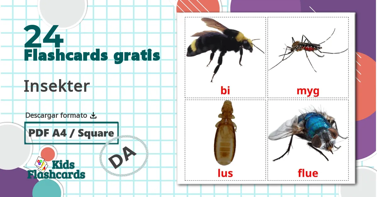 24 tarjetas didacticas de Insekter