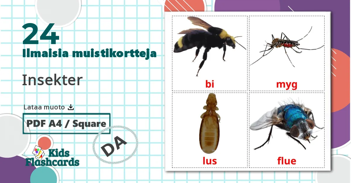 24 Insekter lasten kuvakortit