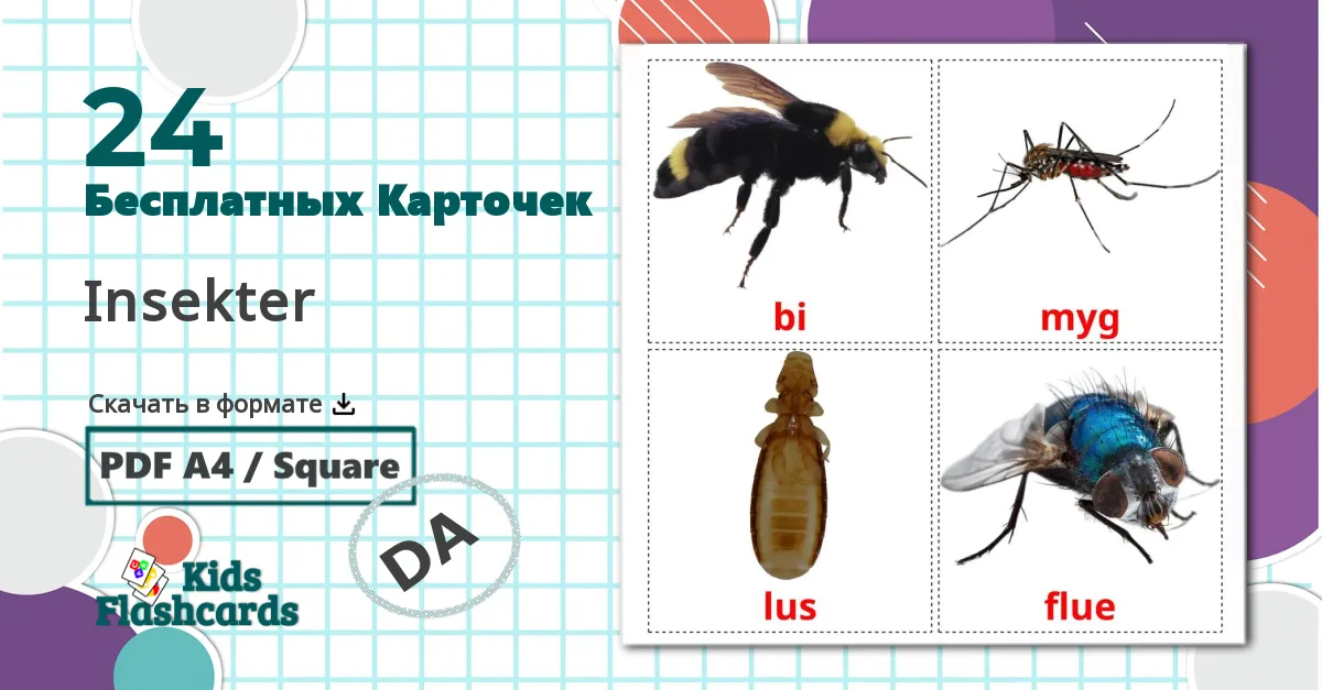 24 Карточки Домана Insekter