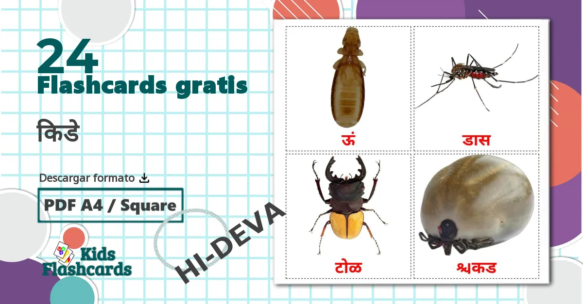 24 tarjetas didacticas de किडे