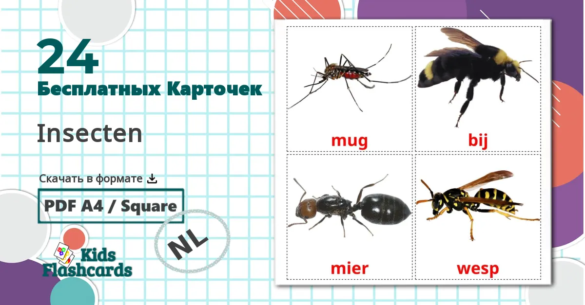 24 Карточки Домана Insecten