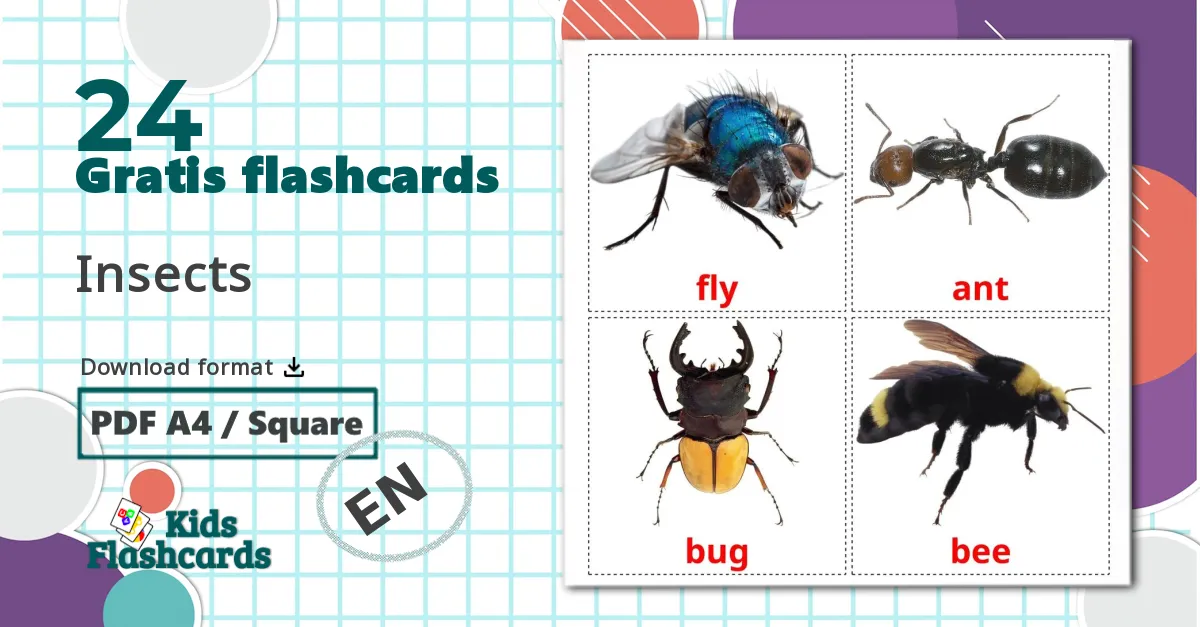 Insekter billedkort for børn