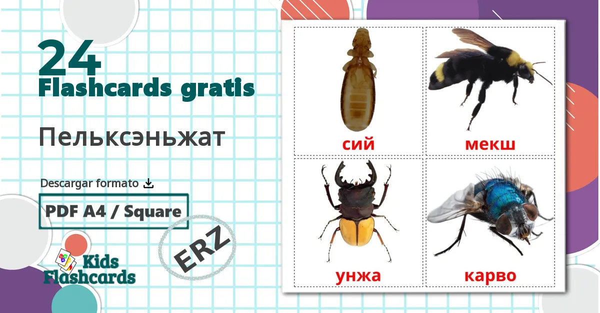 24 tarjetas didacticas de Пельксэньжат