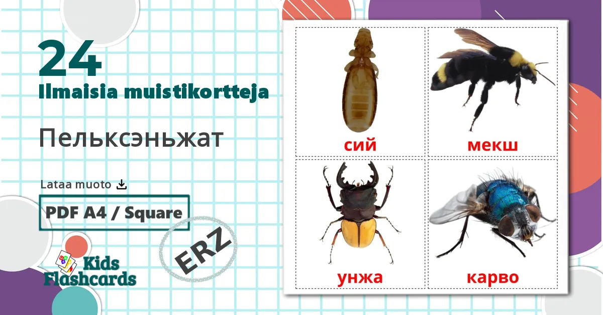 24 Пельксэньжат lasten kuvakortit