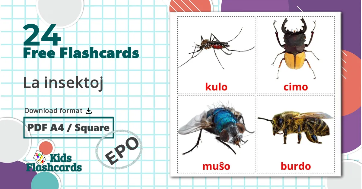 24 La insektoj flashcards
