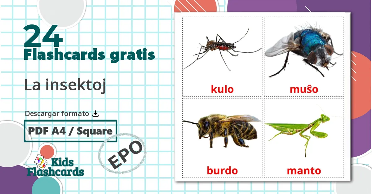 24 tarjetas didacticas de La insektoj