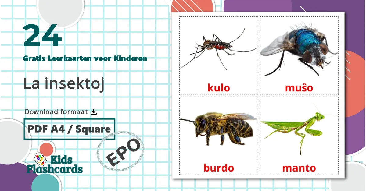 24 La insektoj Leerkaarten voor kinderen