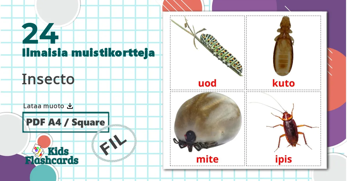 24 Insecto lasten kuvakortit