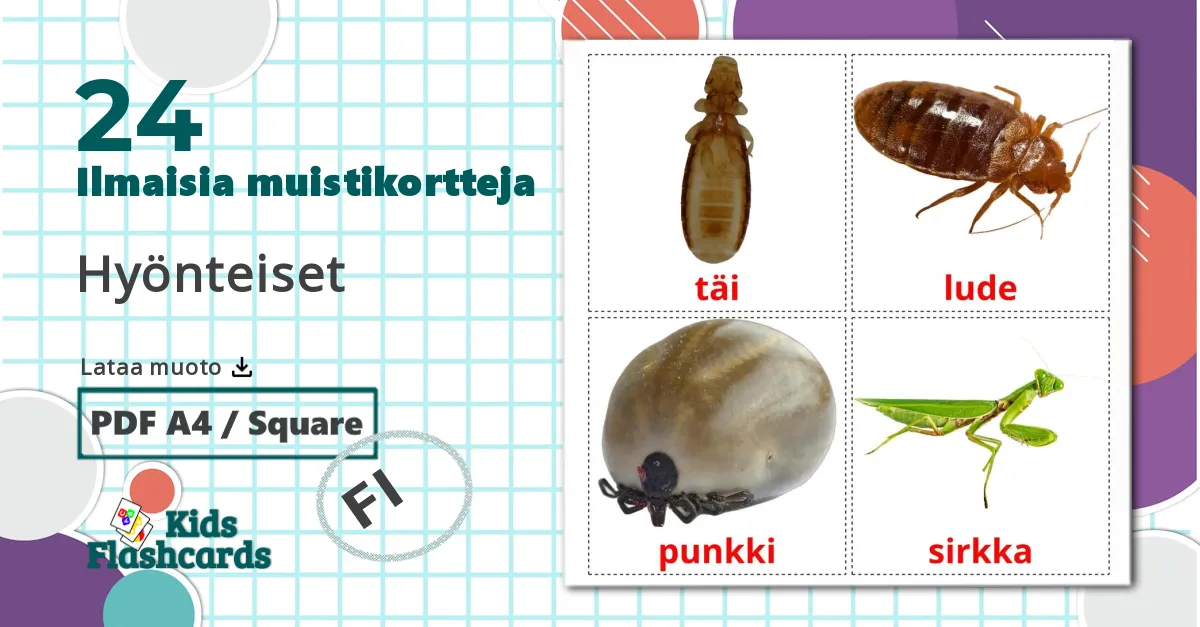 24 Hyönteiset lasten kuvakortit