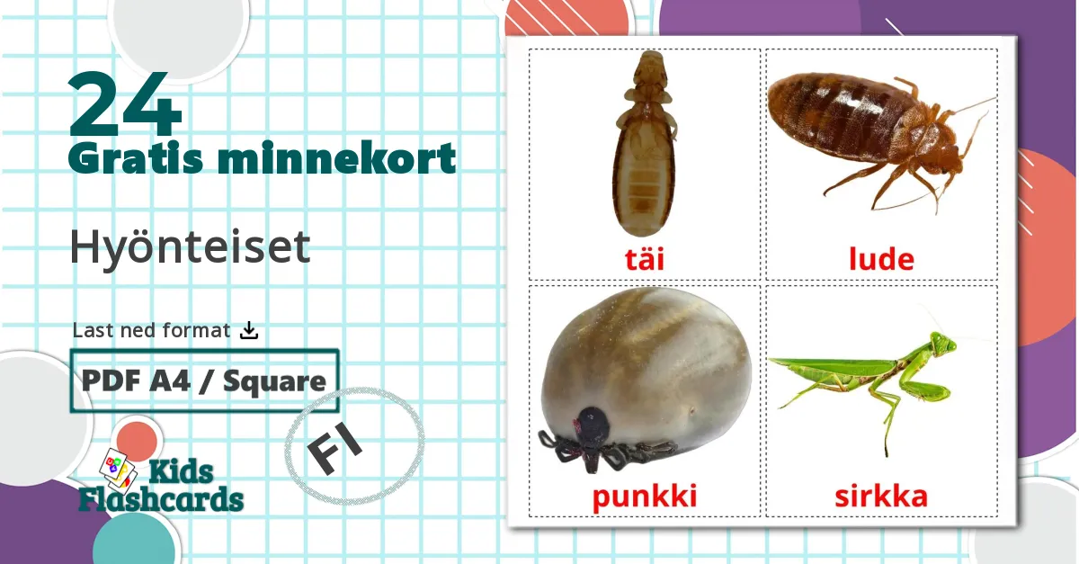 24 Hyönteiset bildekort