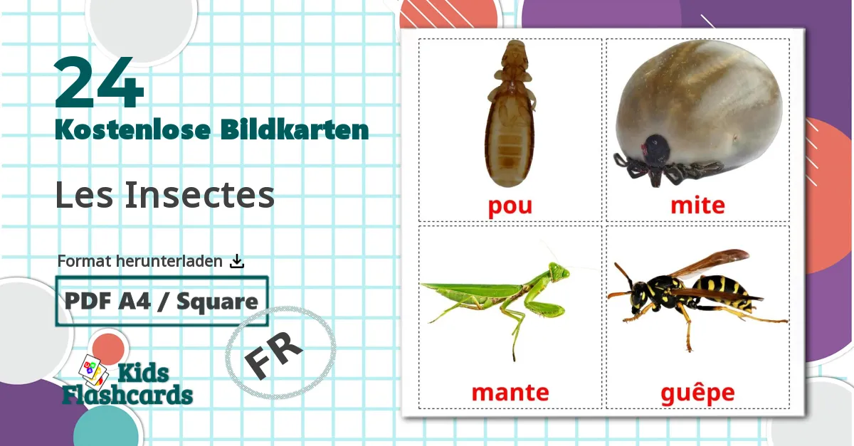 24 Bildkarten für Les Insectes