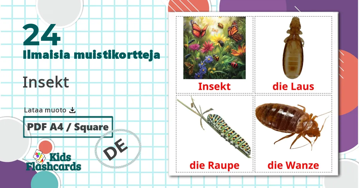 24 Insekt lasten kuvakortit