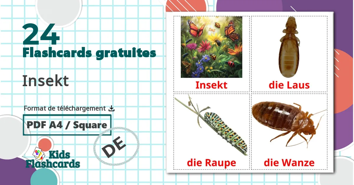 Les Insectes - cartes de vocabulaire allemand