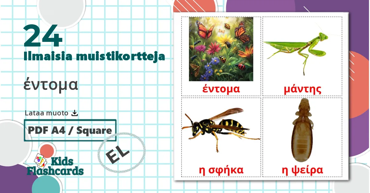 24 έντομα lasten kuvakortit