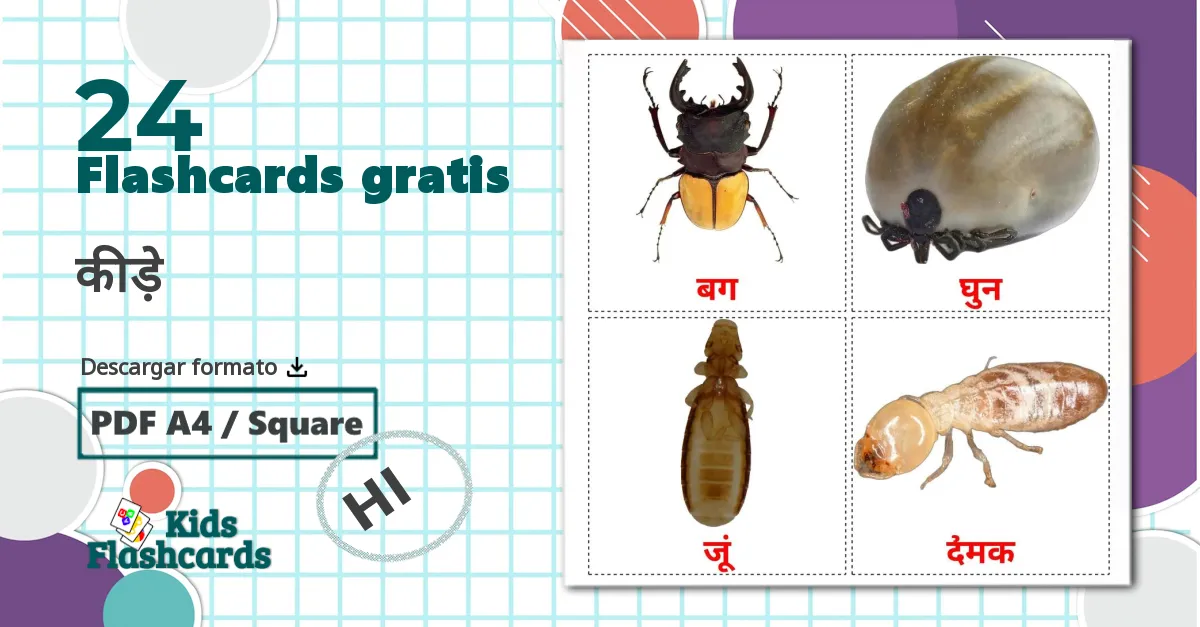 24 tarjetas didacticas de कीड़े