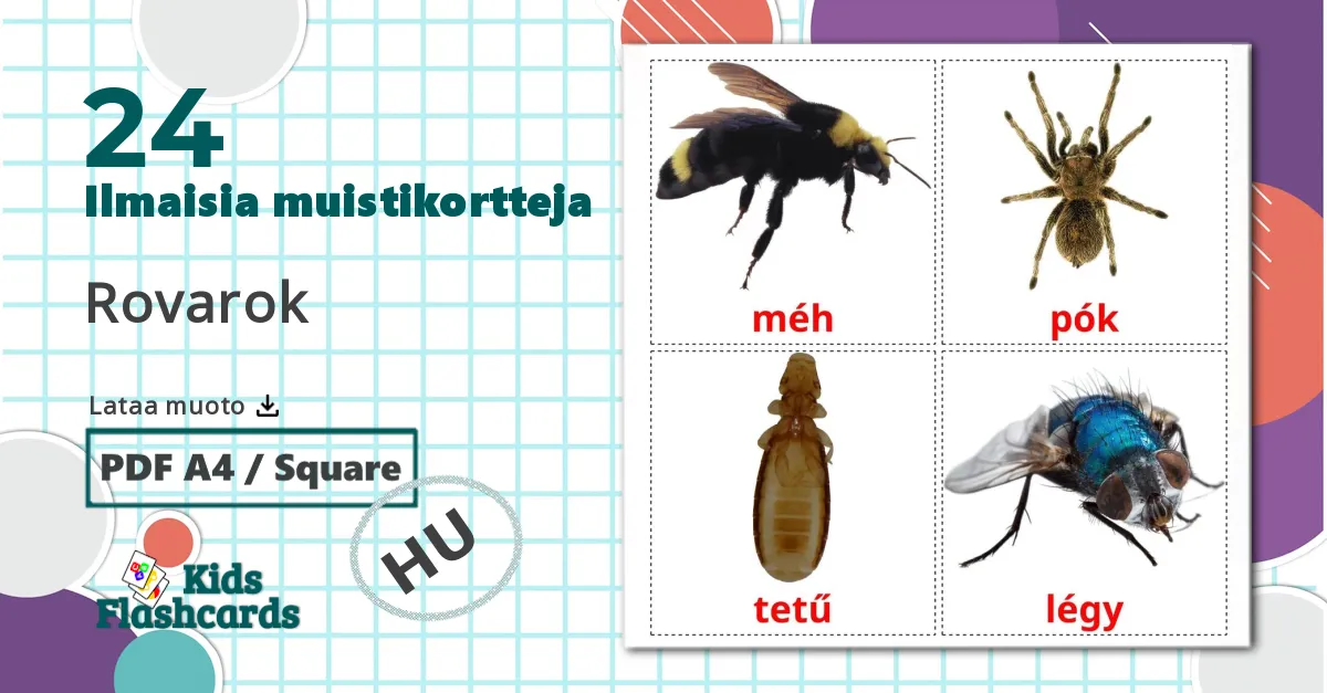 24 Rovarok lasten kuvakortit