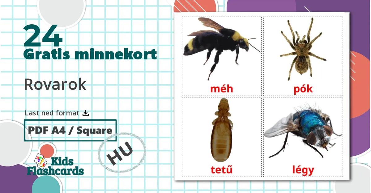 24 Rovarok bildekort