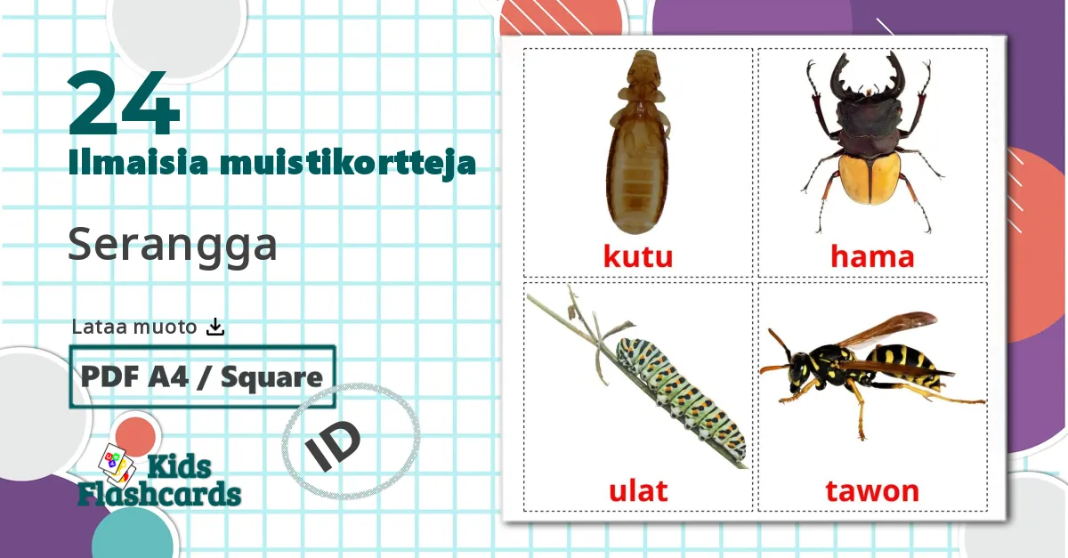 24 Serangga lasten kuvakortit