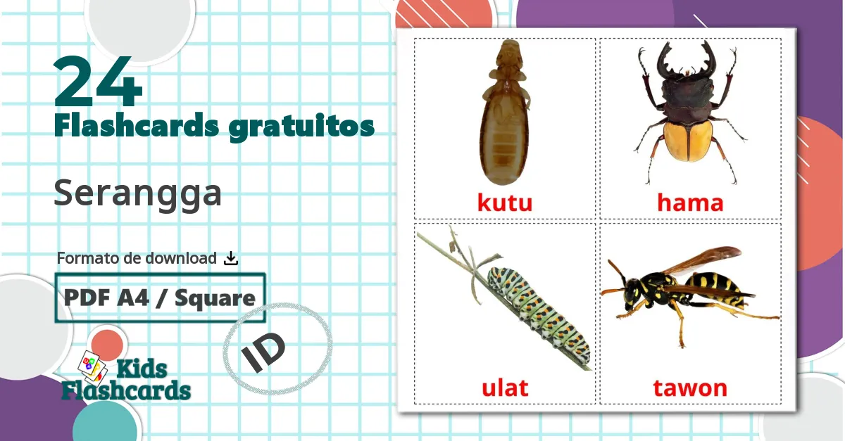 24 Flashcards de Serangga