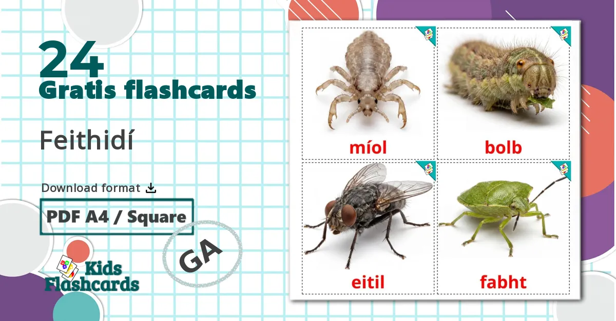 24 Insekter billedkort for børn