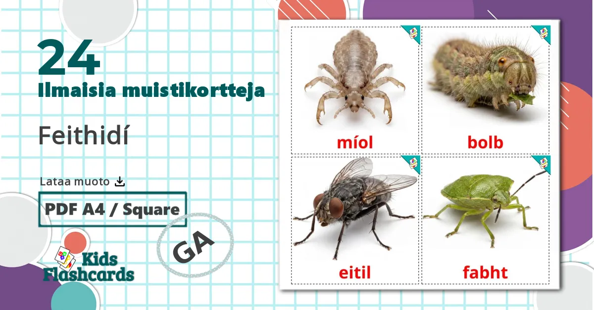 24 Hyönteiset lasten kuvakortit