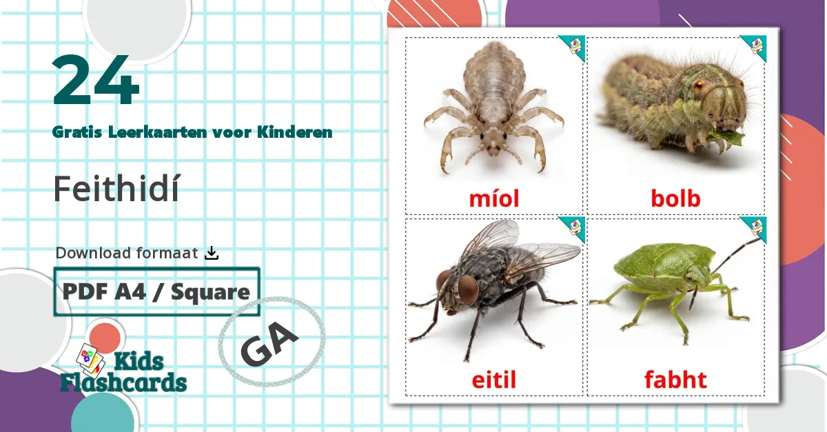 24 Insecten Leerkaarten voor kinderen