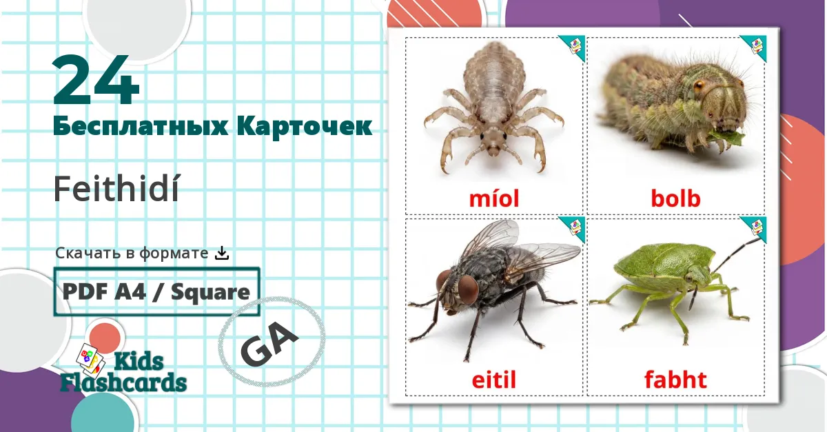 24 Карточки Домана Насекомые