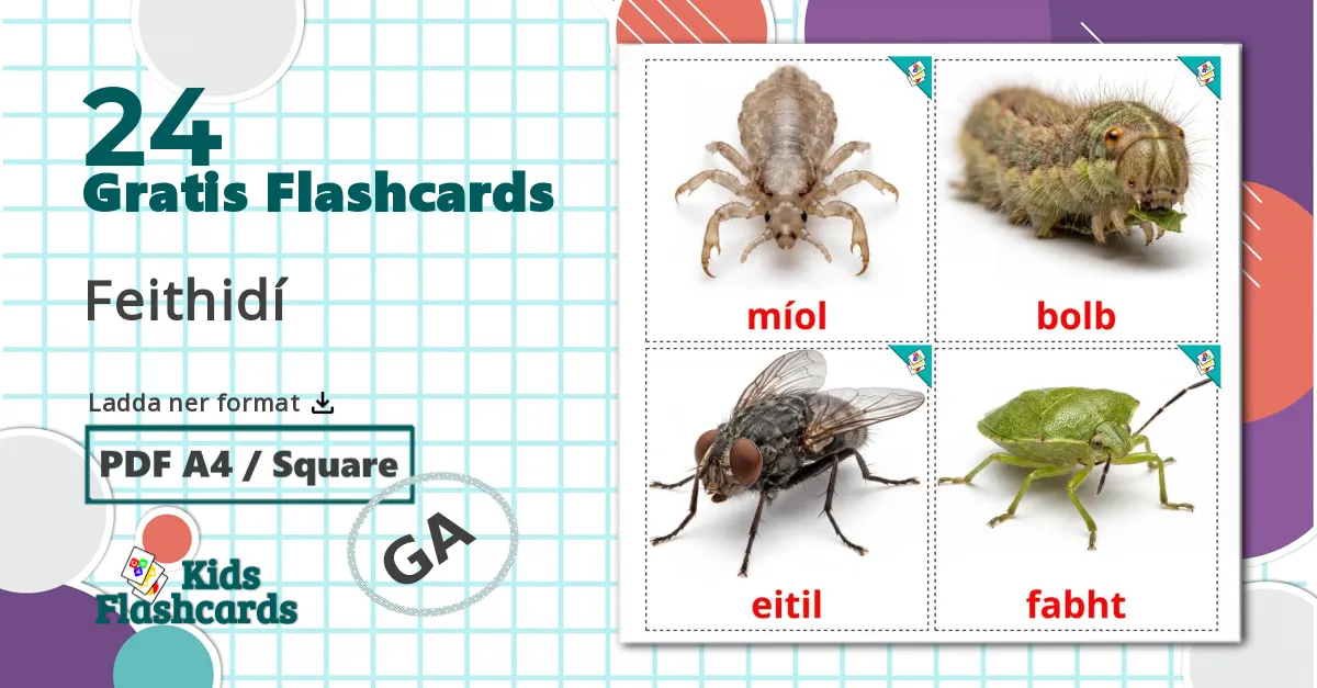 24 Insekter bildkort för barn